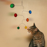 5 - mobile cat