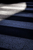 Zebra Crossing *