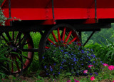 Red Flower Cart*