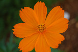 Circular Symmetry