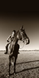 Horse & Rider