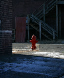 Hydrant *