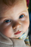 Inquisitive