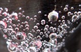 Drops In THE WEB*