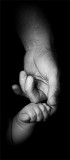 <b>2nd: </b>With a Little Help......<br>by Andy Smylie