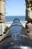 cannon