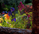 Window Box  *