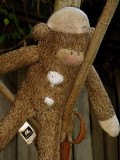 SockMonkey  *