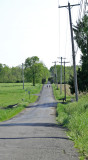 Sunday bicyclists
