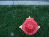 Hydrant*