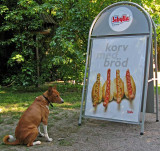 10th: Hot Dogs<br>by Fredman