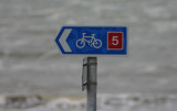 wet-wheels *