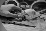 <b>1st:</b> In the Incubator* <br> by Fredman