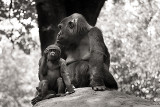 mother and child