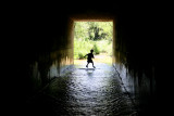 Tunnel of Fun