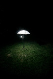 alien landing