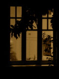 Rear Window  *