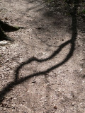 shadow*