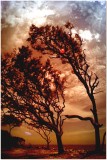 8th: Humbled by wind<br>by Cat