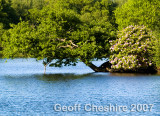 Bramshill Lake