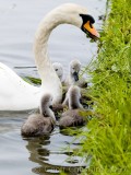 A family group