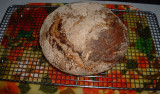 No Knead Sourdough Seed Bread