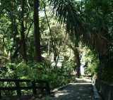 Parque Nacional: Trail in the jungle