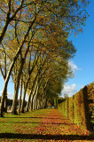 Château de Versailles