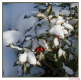 PB-IMG_4376.jpg