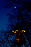 Bird Feeder with Crescent Moon