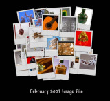 Febuary 2007 Image Pile
