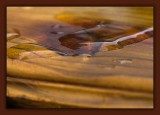 Water on Wood