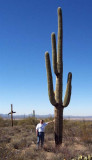 Me with a Saguaro Cactus