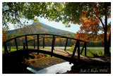 *** Autumn Light at Peaks of Otter
