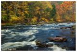 Autumn Along Tohickon Creek <br> (To-hick-han) Lenape word meaning Deer Bone Creek