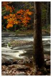 Tohickon Creek in Autumn