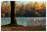 Autumn Along the Delaware River