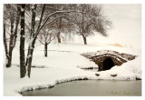 Morning Snowfall at Foxbriar Farm