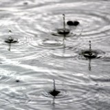 Simple circles of rain