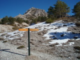 Isolated signpost