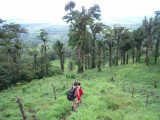 Hiking down