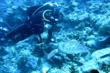 06-Table of Coral 15edit.jpg