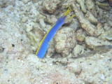 08-Dunia Baru 61.jpg