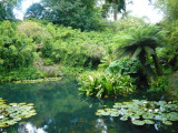 Lost Gardens of Heligan