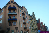 IMG_6039.jpg