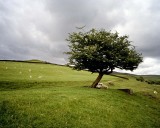 Peak District, UK