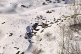 IMG19607.jpg