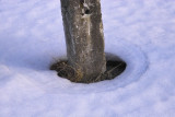 IMG19636.jpg