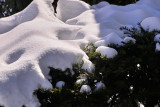 IMG19764.jpg