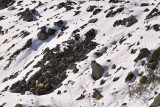 IMG19786.jpg